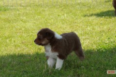 img_8142.jpg