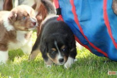 img_8148.jpg