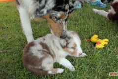 img_8306.jpg