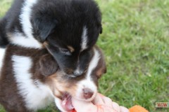 img_8342.jpg