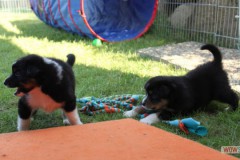 img_8375.jpg