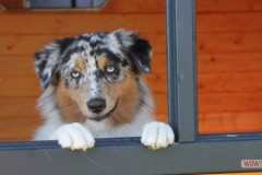 img_9366.jpg