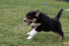 img_9385.jpg