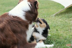 img_9395.jpg