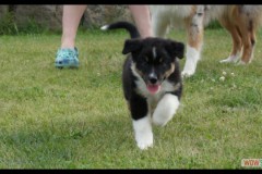 img_9412.jpg