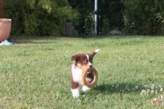 img_9743.jpg