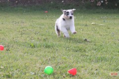 img_9800.jpg
