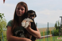 img_0004.jpg