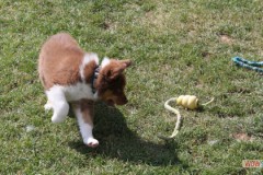 img_9877.jpg