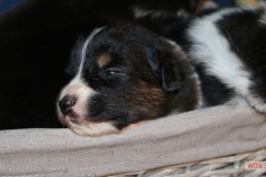 img_0712