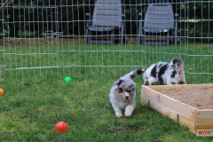 img_1347