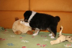 img_1741