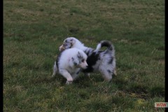 img_2171