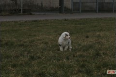 img_2187