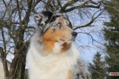 img_2805