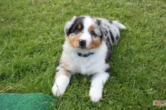 32img_0085
