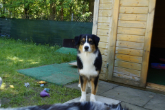DSC1778