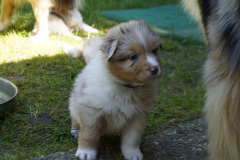 DSC1846