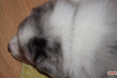 img_4765.jpg
