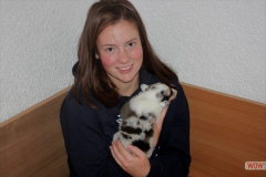 5020161012profilbilder4welpen_069