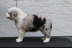 IMG_9920