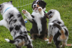 img_6085.jpg