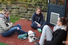 20161028welpen6_071