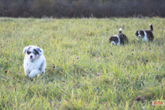 001img_0019