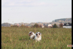 002img_0048