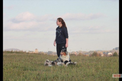 006img_0061