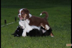 img_1672.jpg