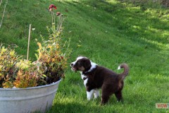 img_1692.jpg