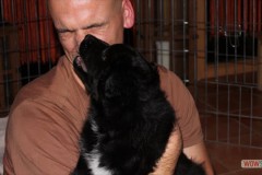 img_2162.jpg