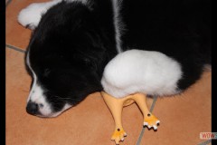 img_2212.jpg