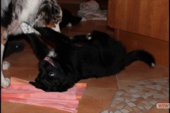 img_2442.jpg