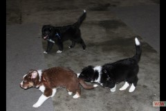 img_2484.jpg