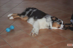 img_8120.jpg