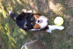 Benny2