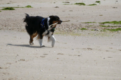 Amy-2