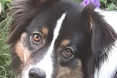 Meggie-2