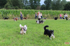201507192b16.02.56.jpg