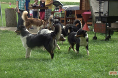 img_9515.jpg